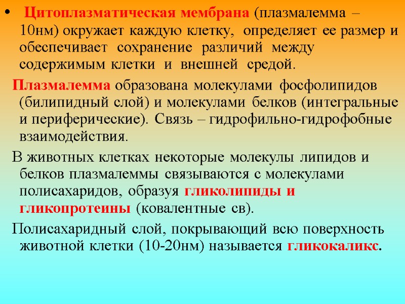 Цитоплазматическая мембрана (плазмалемма – 10нм) окружает каждую клетку,  определяет ее размер и обеспечивает